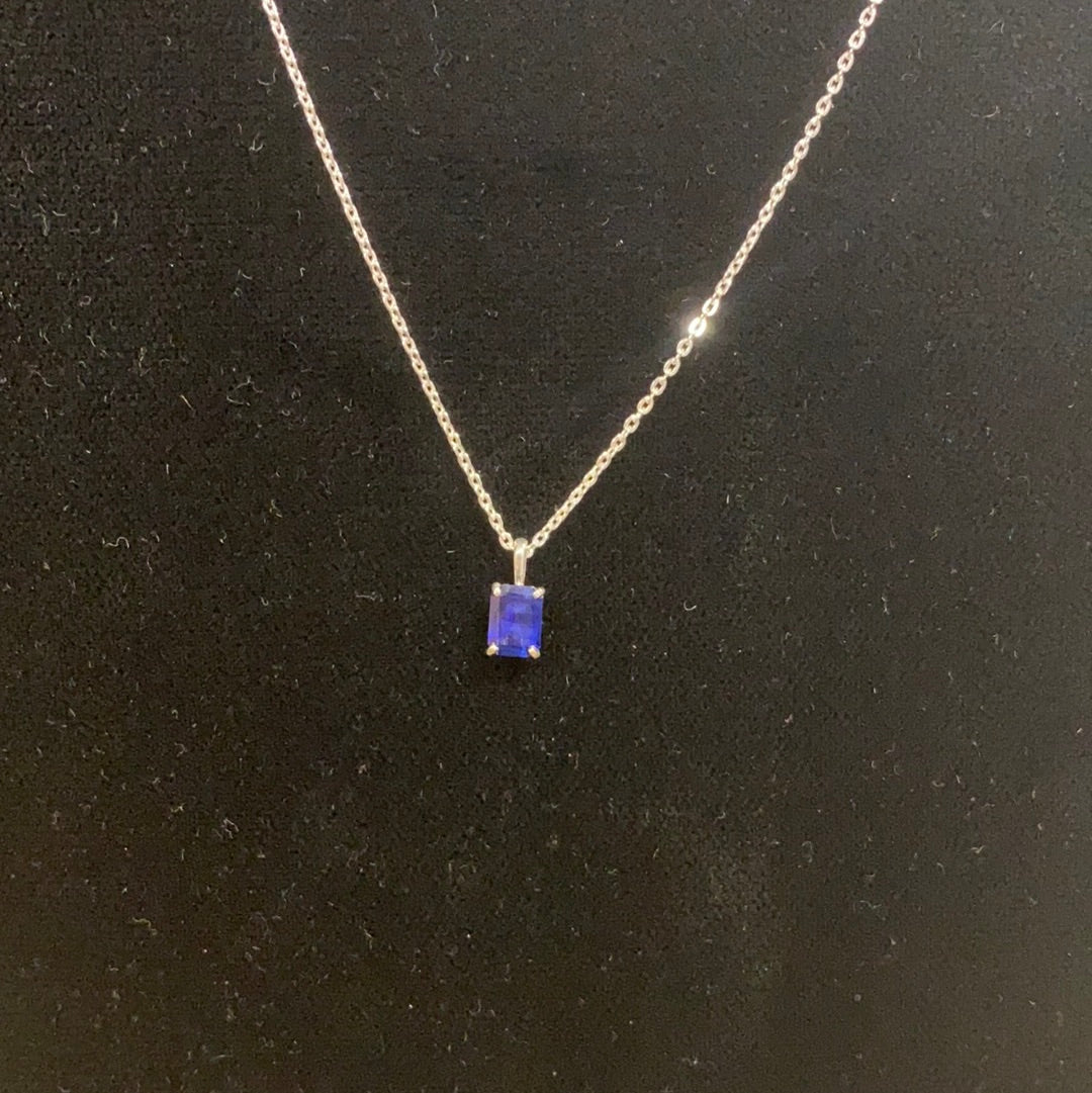 Sterling Silver and Sapphire Necklace Back Country Trading Post