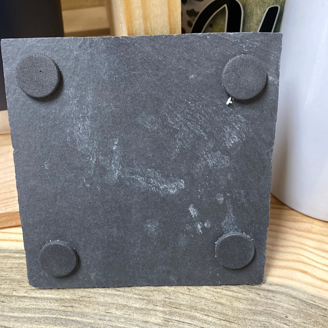 Idaho Slate Coaster