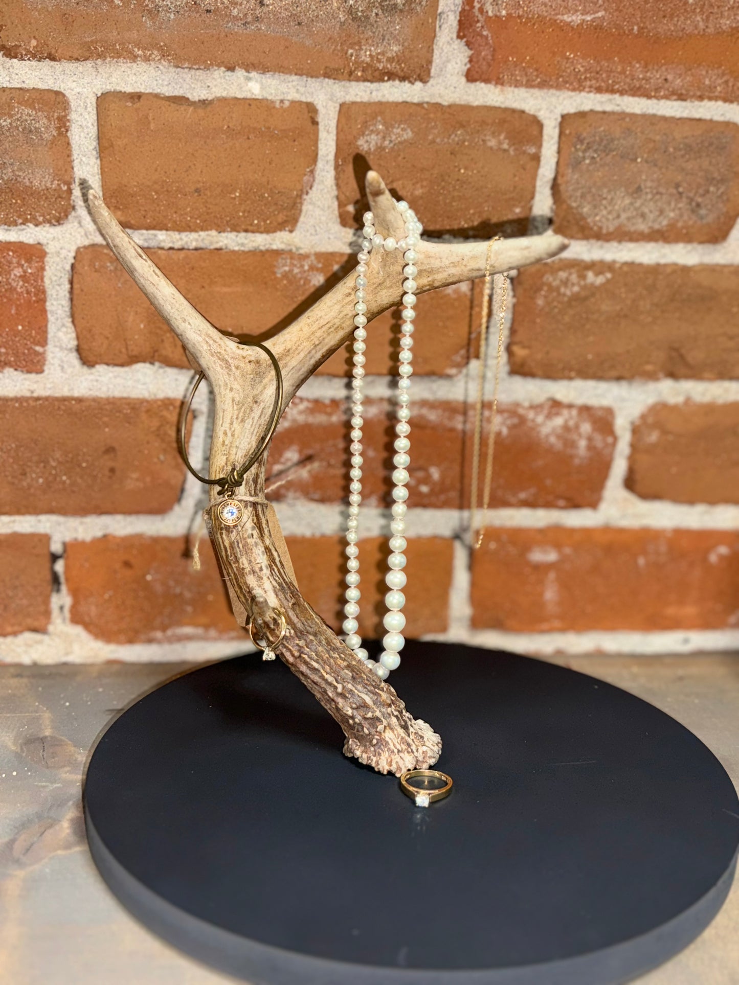 Real Antler Jewelry Holder