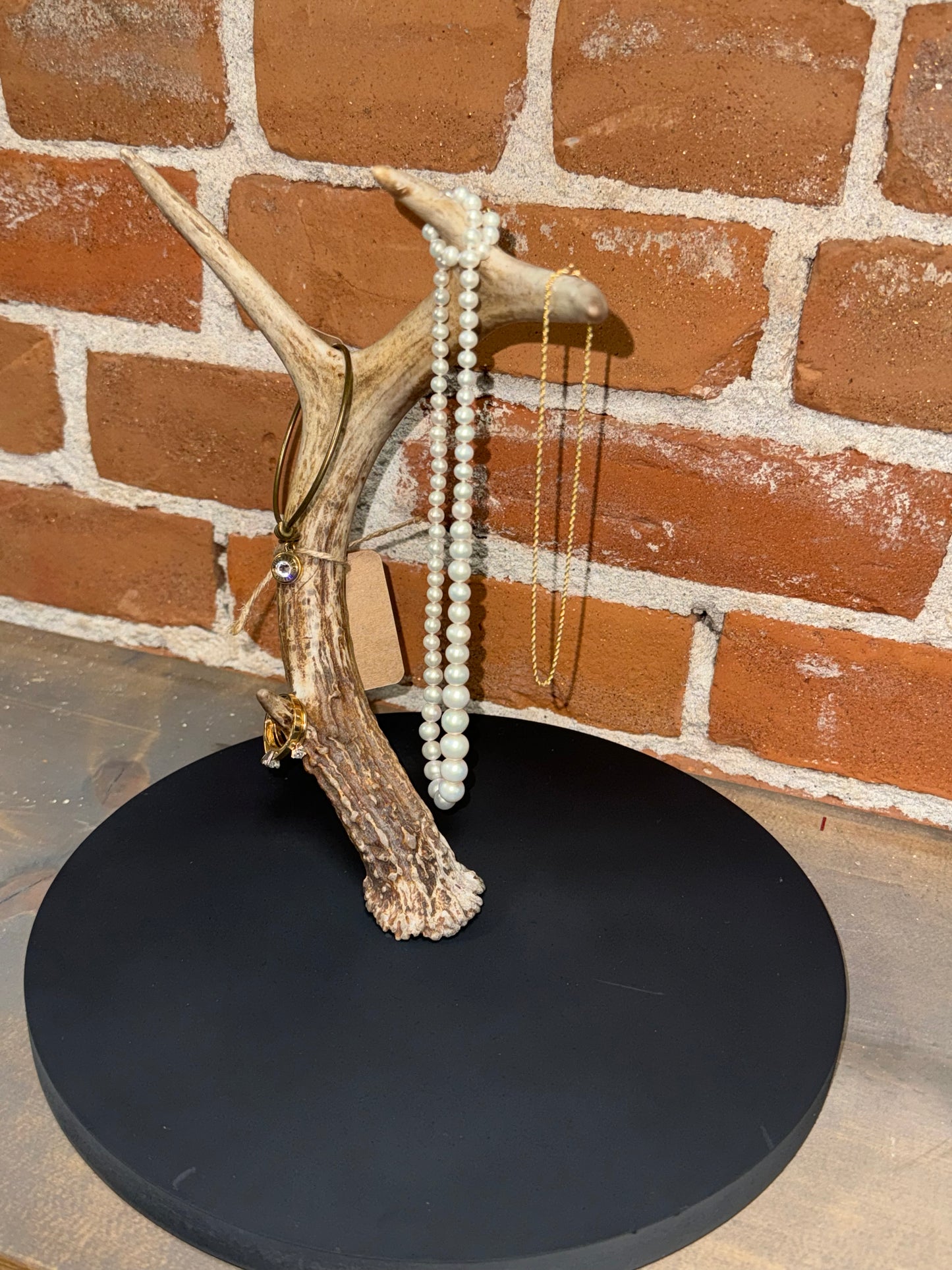 Real Antler Jewelry Holder