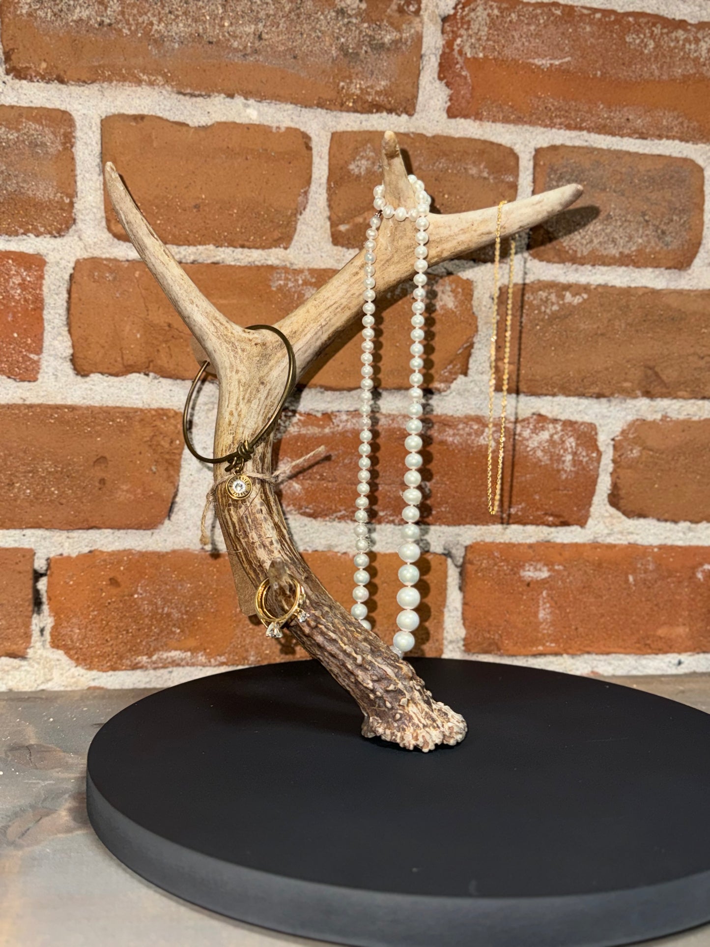 Real Antler Jewelry Holder