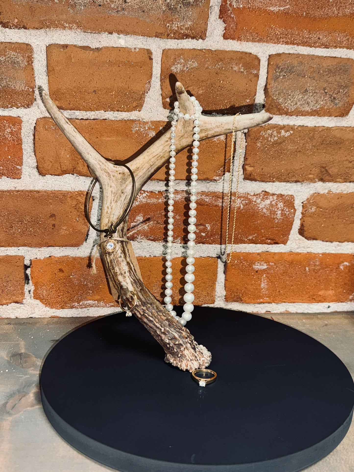 Real Antler Jewelry Holder