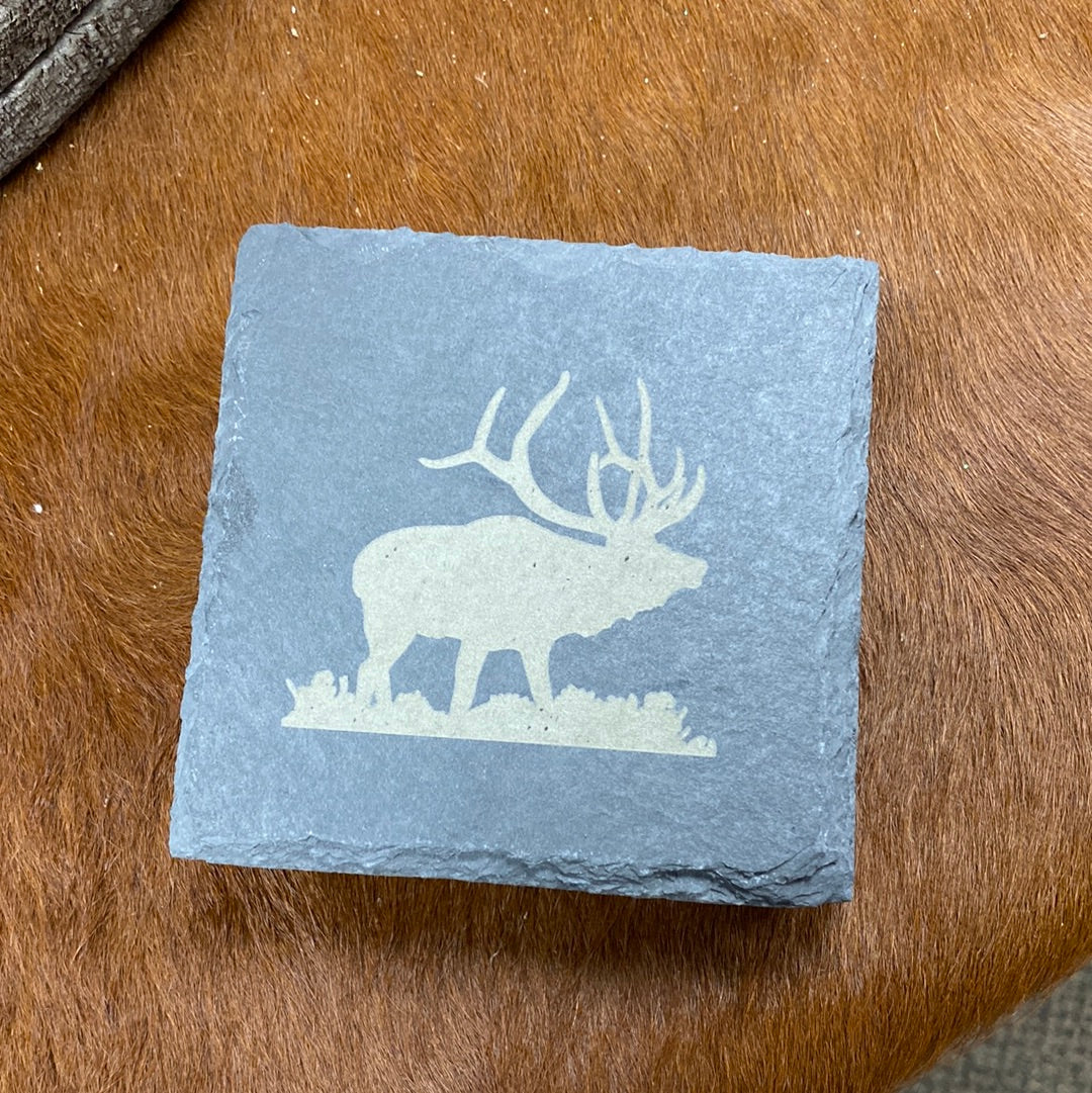 Elk, slate coaster